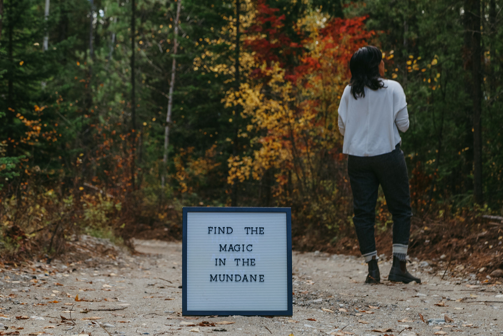 Camping Essentials for a Nourishing Escape Into Nature