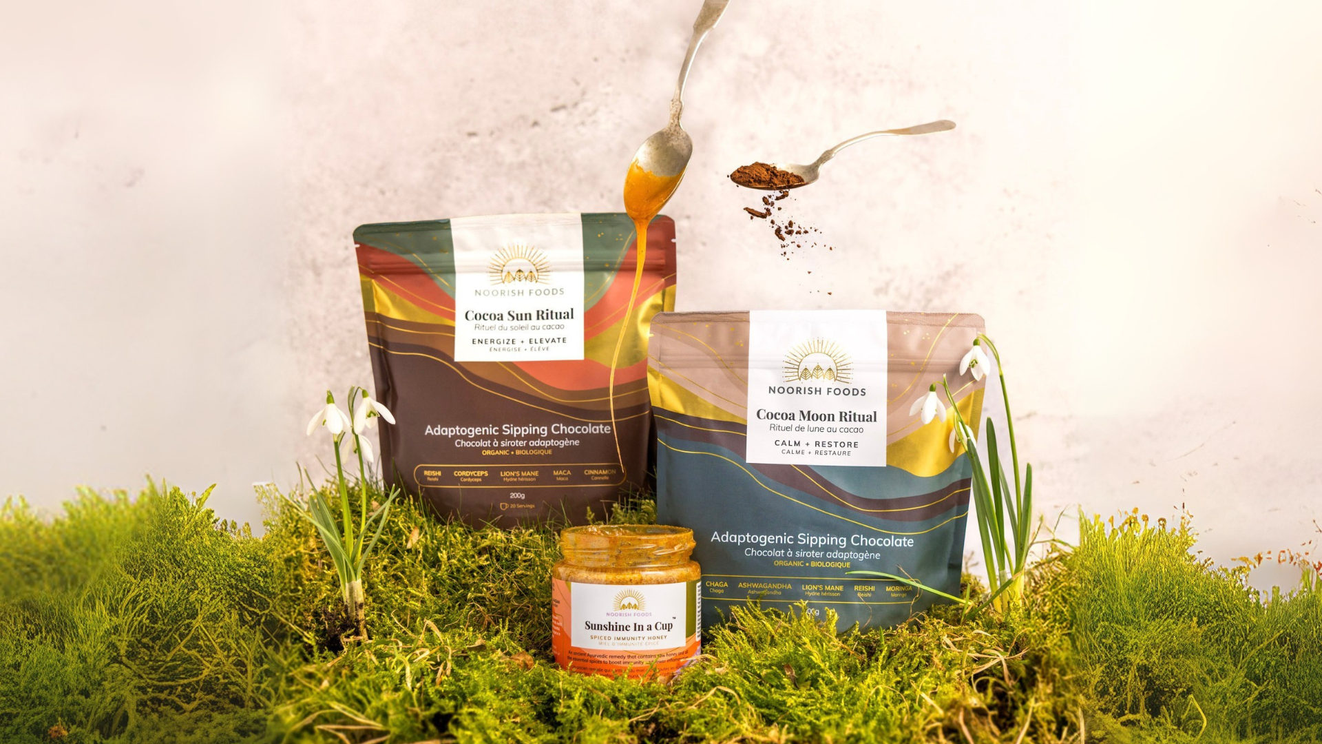 What are Noorish Foods & How They Can Help This Fall/Winter